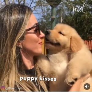 Meet your Posher, Diego